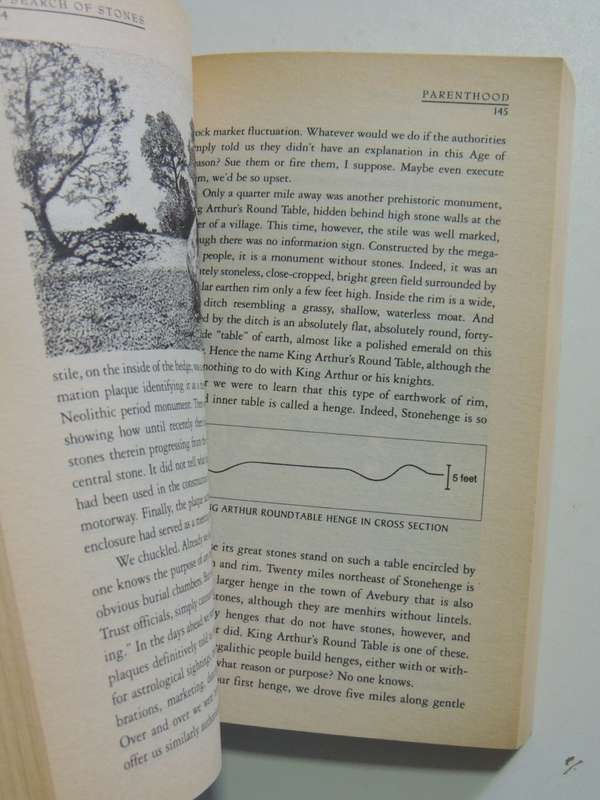 In Search Of Stones - A Pilgrimage Of Faith, Reason And Discovery - M. Scott Peck