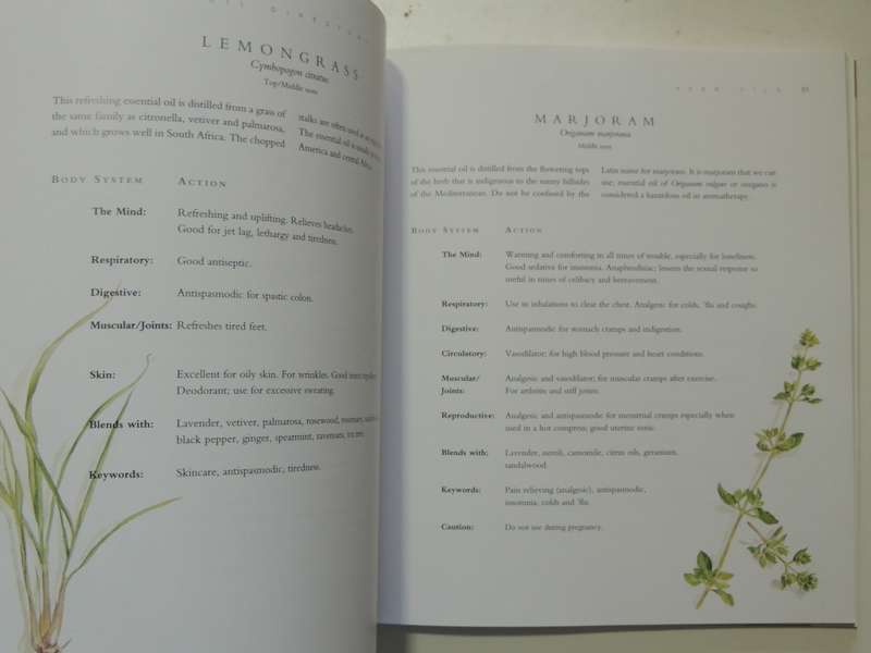 Everybody`s Aromatherapy - A Comprehensive Guide For All Ages - Helen Ranger