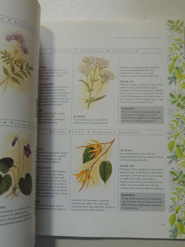 Practical Aromatherapy,Complete Beginner`s Guide To Choosing, Massaging &Relaxing ...- Penny Rich
