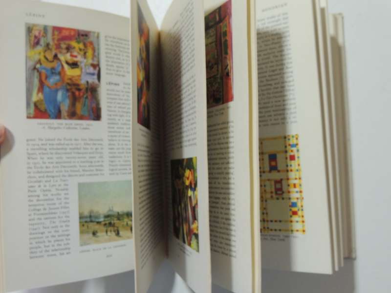 A Dictionary Of Modern Painting - ed Carlton Lake & Robert Millard