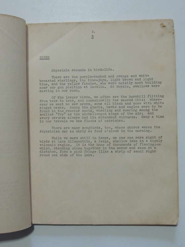 Abyssinian Alphabet - Gunner CB Johnston