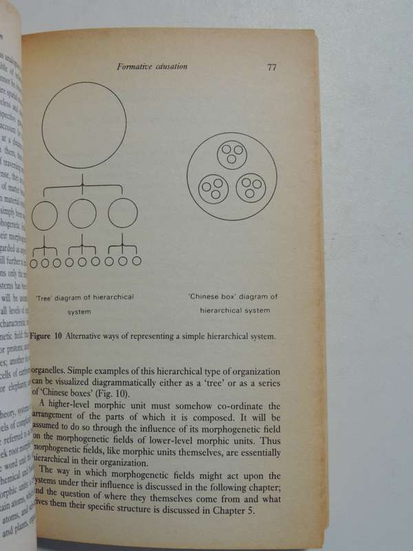 A New Science of Life, The Hypothesis of Formative Causation - Rupert Sheldrke