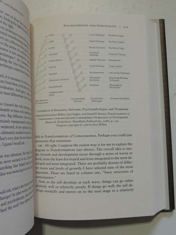 The Collected Works of Ken Wilber,V5:Grace & Grit,Spirituality &Healing..Life &Death of Treya Wilber
