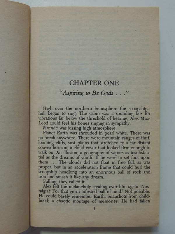 Fallen Angels - Larry Niven, Jerry Pournelle & Michael Flynn
