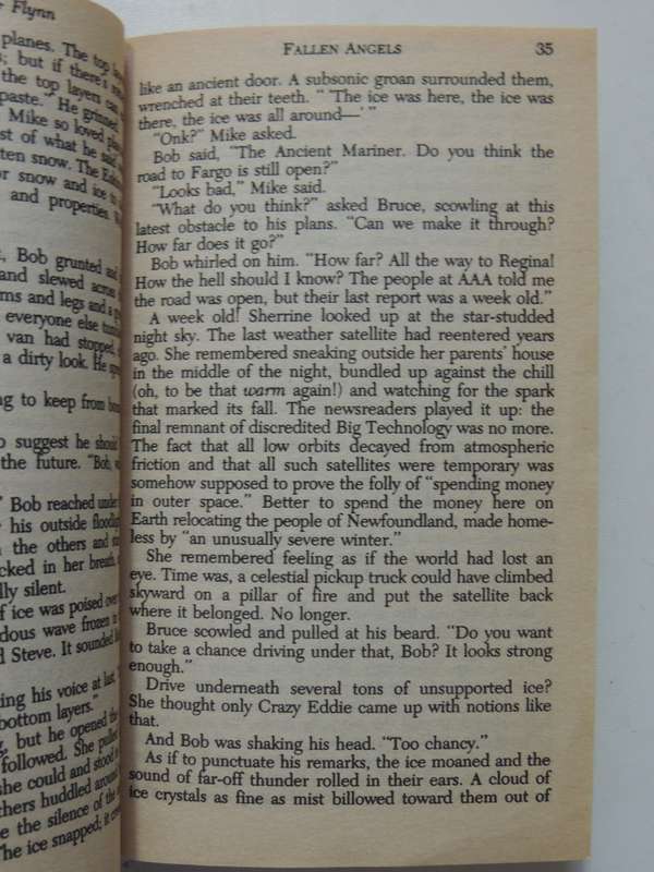 Fallen Angels - Larry Niven, Jerry Pournelle & Michael Flynn