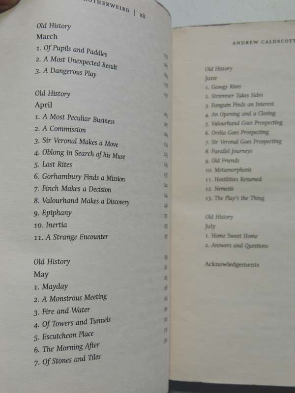 Rotherweird - Andrew Caldecott