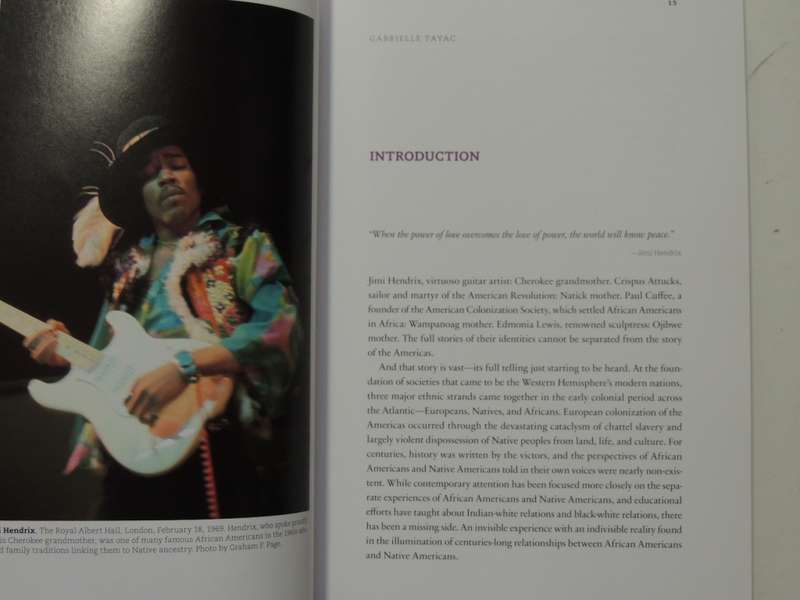 Indivisible - African-Native American Lives In The Americas - ed. Gabrielle Tayac