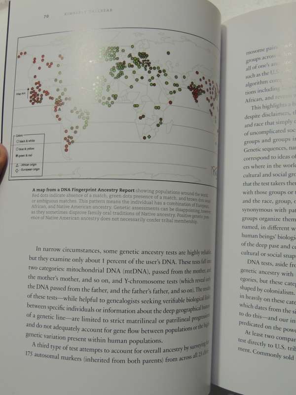 Indivisible - African-Native American Lives In The Americas - ed. Gabrielle Tayac