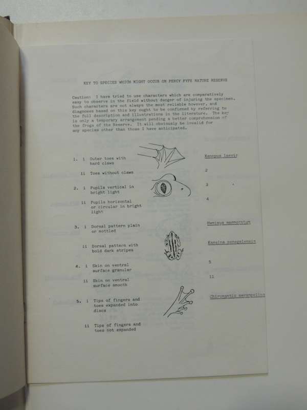 South African Frogs (No 45rpm Record)  N.I. Passmore & V.C. Carruthers