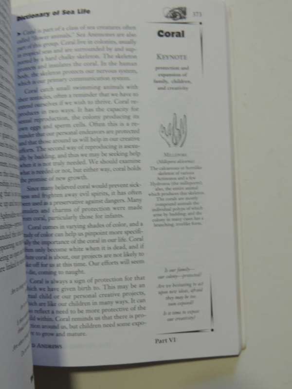 Animal - Wise - The Spirit Language And Signs Of Nature - Ted Andrews