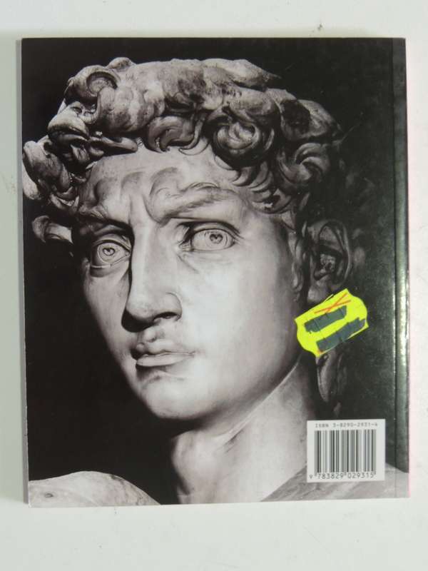 Art In Hand - Michelangelo - Alexandra Gromling