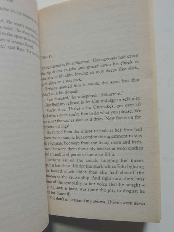 Mirror Space Book 3 of The Sentients of Orion - Marianne de Pierres