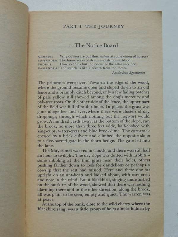 Watership Down- Richard Adams