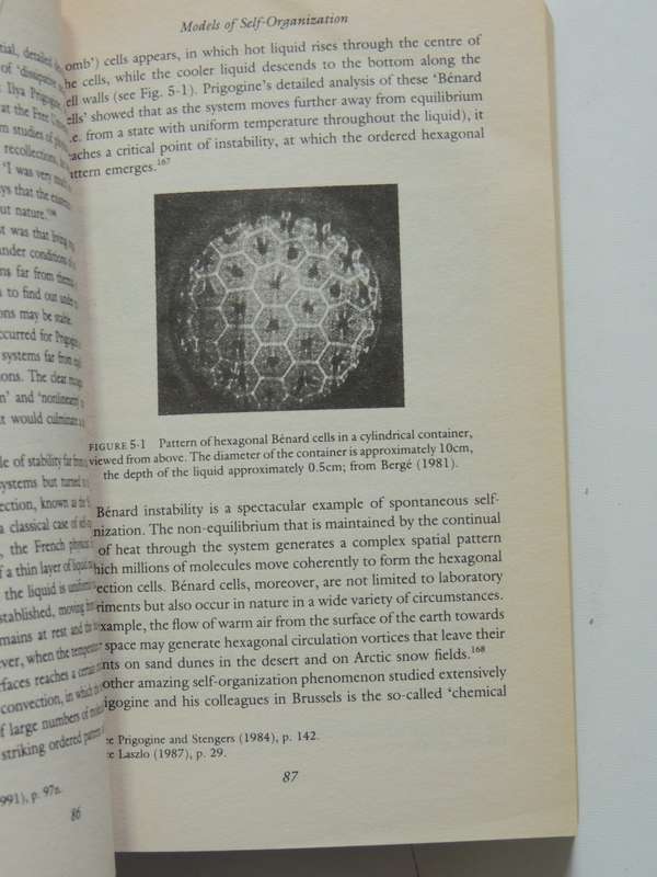 The Web of Life, A New Synthesis of Mind & Matter - Fritjof Capra