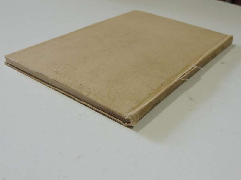 Americans in the Great War Vol 1 2nd Battle of Marne, Illustrated Michelin Guides to the Battle...