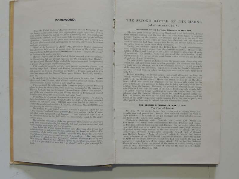 Americans in the Great War Vol 1 2nd Battle of Marne, Illustrated Michelin Guides to the Battle...