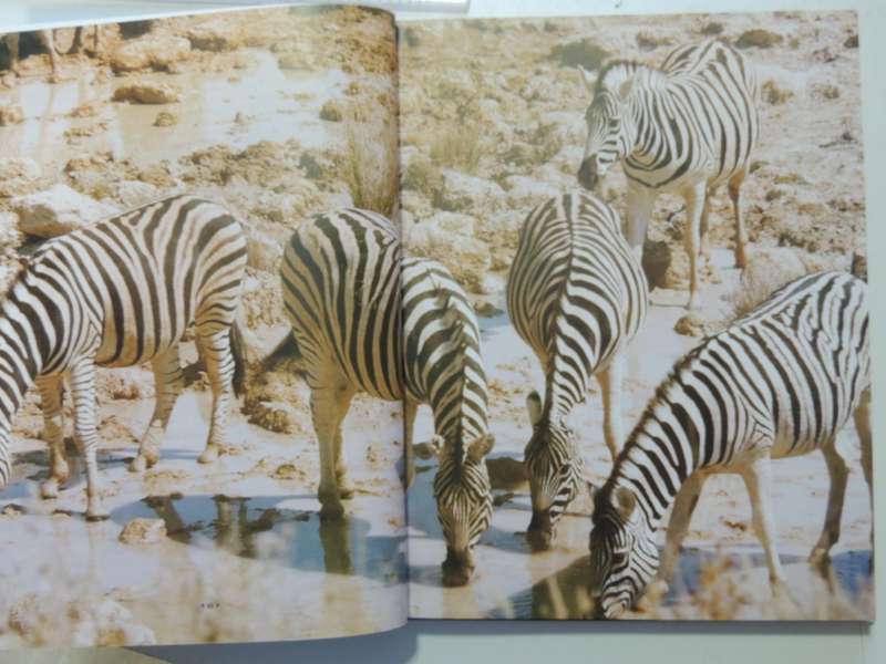The Hunting Blackbeards Of Botswana - ed. Brian Marsh   Signed
