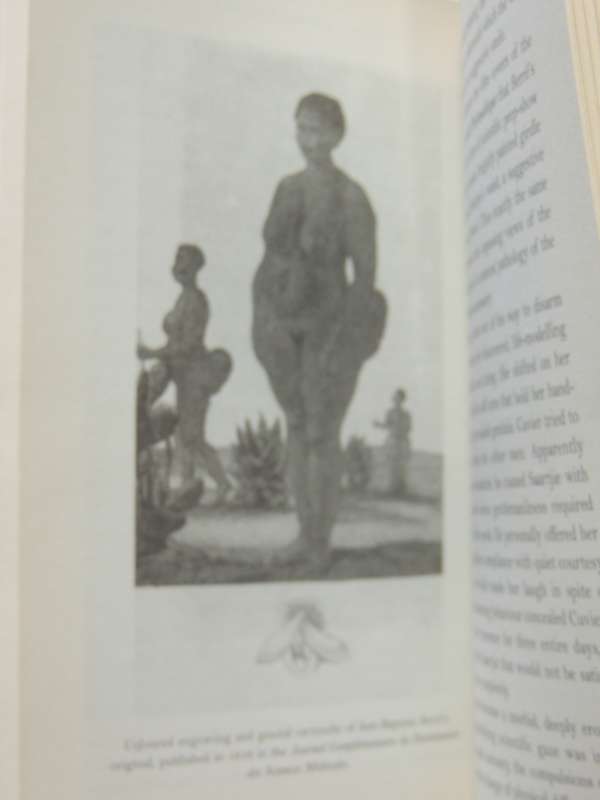 The Hottentot Venus, The Life & Death of Saartjie Baartmn - Rachel Holmes