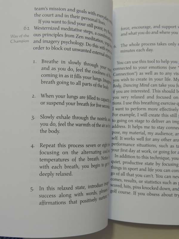 The Way of the Champion,Lessons from Sun Tsu`s Art of War...Tao Wisdom for Sports & LifeJerry Lynch