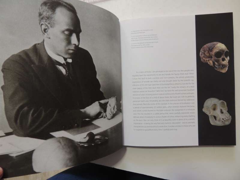 Life Of Bone - Art Meets Science- Joni Brenner, Elizabeth Burroughs & Karel Nel