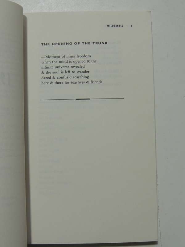 Wilderness - The Lost Writings Of Jim Morrison - Jim Morrison