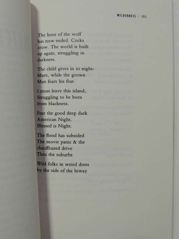 Wilderness - The Lost Writings Of Jim Morrison - Jim Morrison