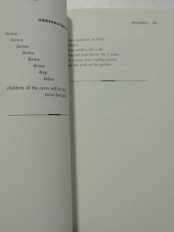 Wilderness - The Lost Writings Of Jim Morrison - Jim Morrison