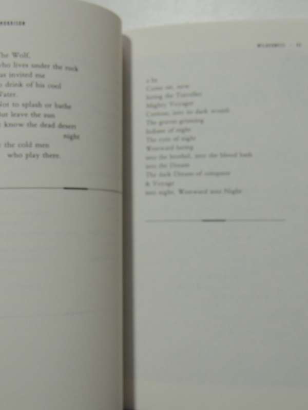 Wilderness - The Lost Writings Of Jim Morrison - Jim Morrison
