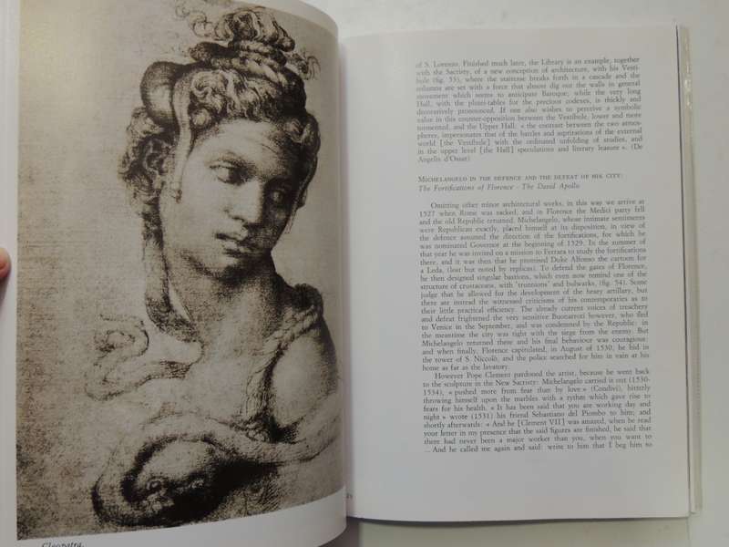 All The Works Of Michelangelo - Luciano Berti