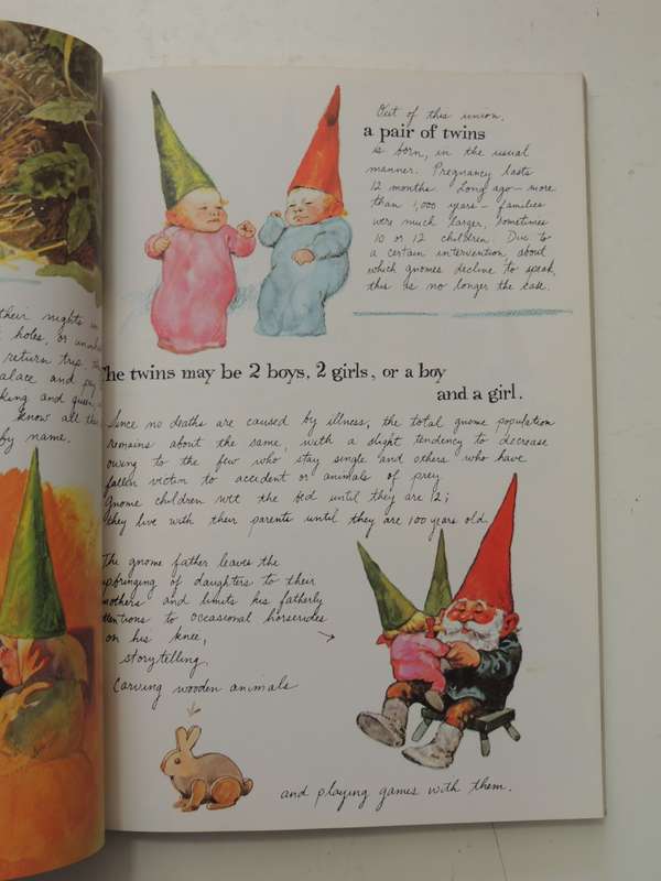 Gnomes - Wil Huygen & Rien Poortvliet