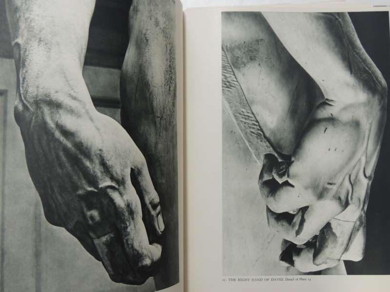 Michelangelo: Paintings, Sculptures, Architecture - Ludwig Goldscheider