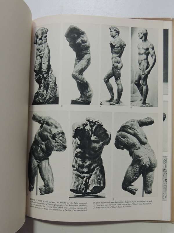 Michelangelo: Paintings, Sculptures, Architecture - Ludwig Goldscheider