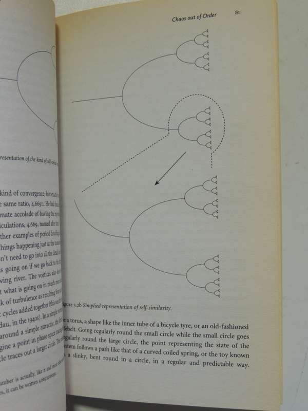 Deep Simplicity - Chaos, Complexity And The Emergence Of Life - John Gribbin