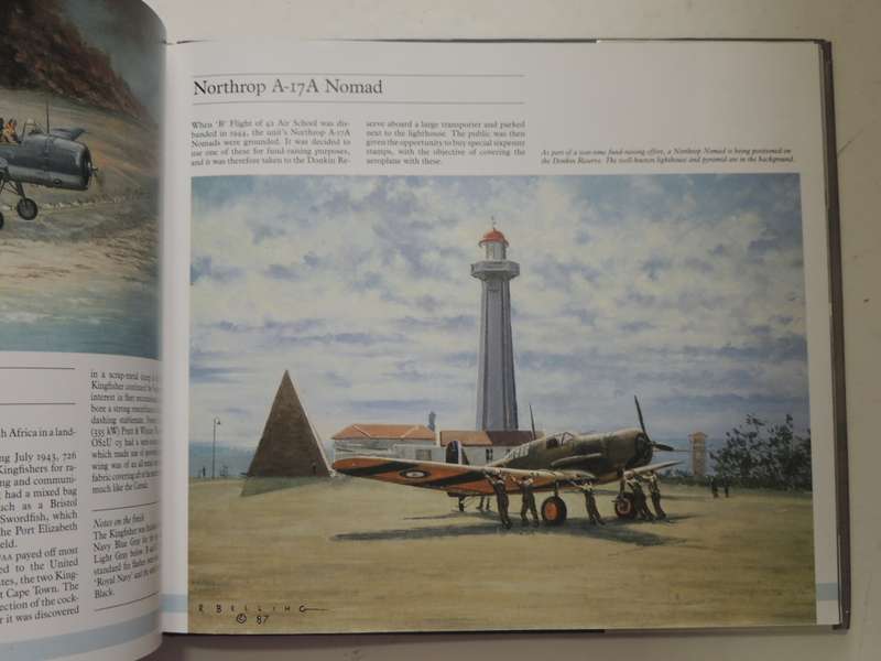 A Portrait Of Military Aviation In South Africa - Ron Belling