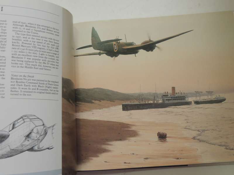 A Portrait Of Military Aviation In South Africa - Ron Belling