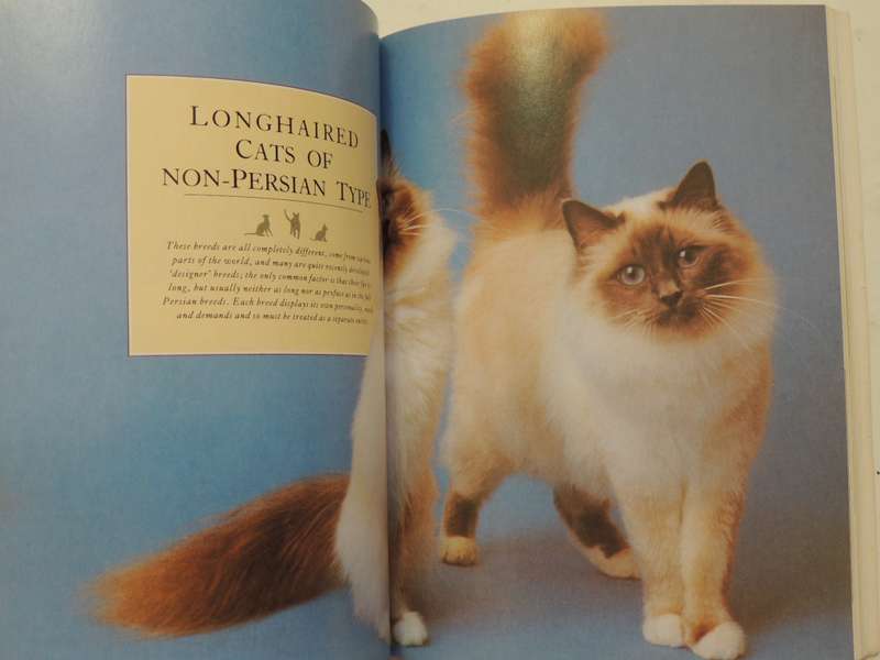 The Essential Cat Book, Practical Handbook - Paddy Cutts