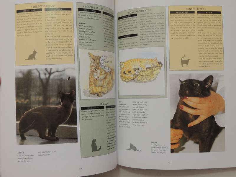 The Essential Cat Book, Practical Handbook - Paddy Cutts
