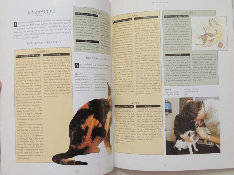 The Essential Cat Book, Practical Handbook - Paddy Cutts