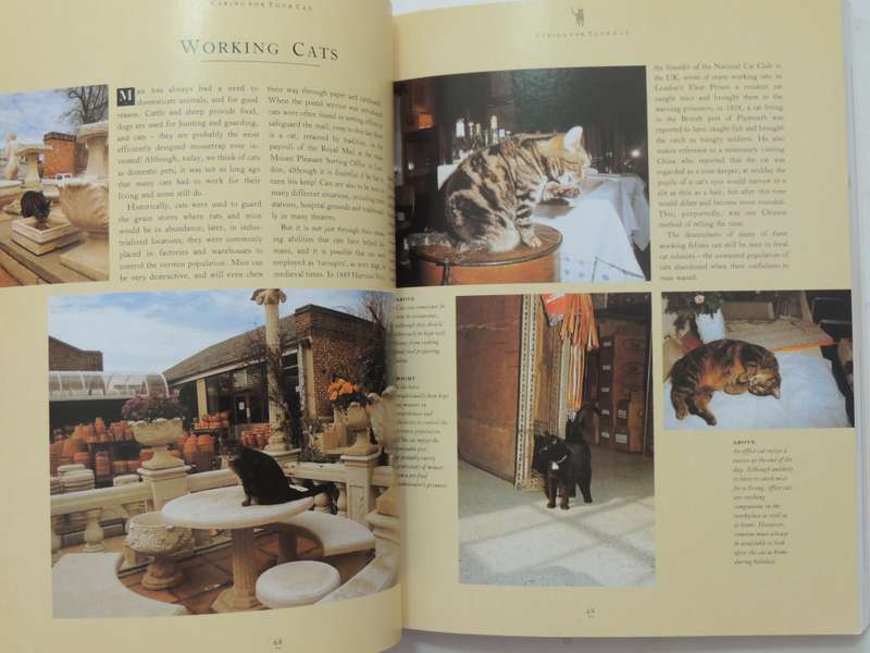 The Essential Cat Book, Practical Handbook - Paddy Cutts