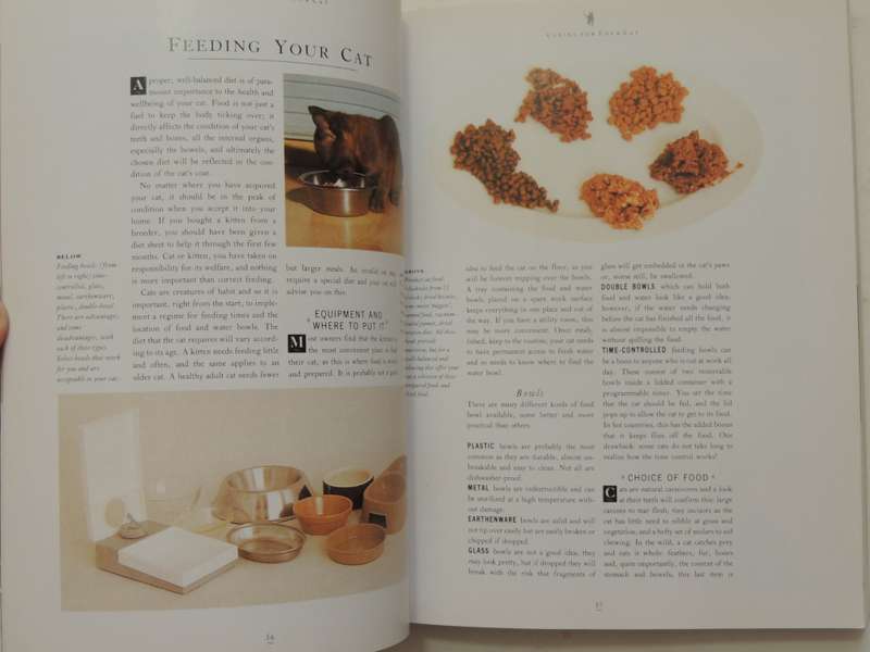 The Essential Cat Book, Practical Handbook - Paddy Cutts