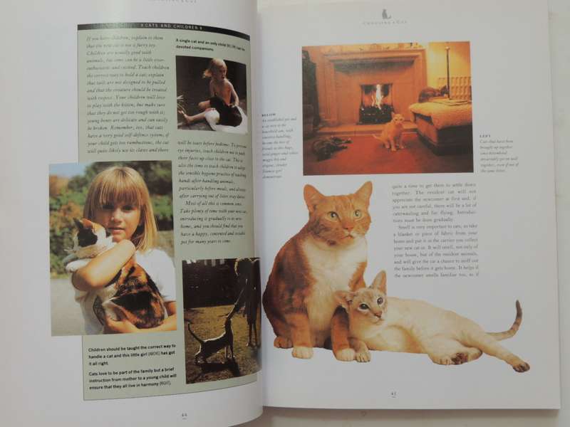 The Essential Cat Book, Practical Handbook - Paddy Cutts