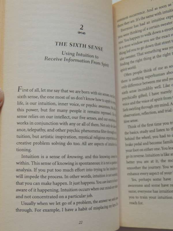 Heaven and Earth , Making the Psychic Connection - James van Praagh