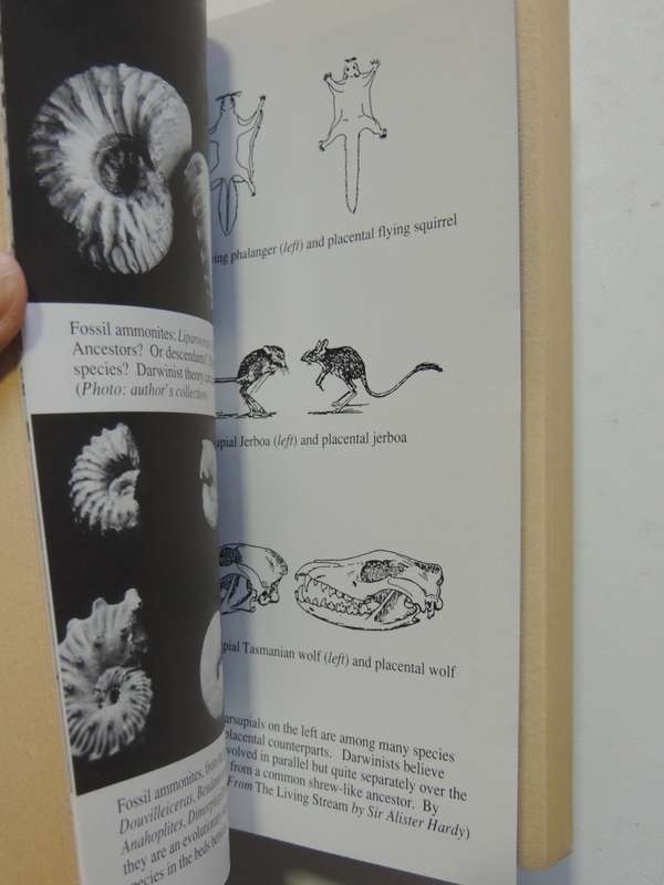 The Facts Of Life - Shattering The Myths Of Darwinism - Richard Milton