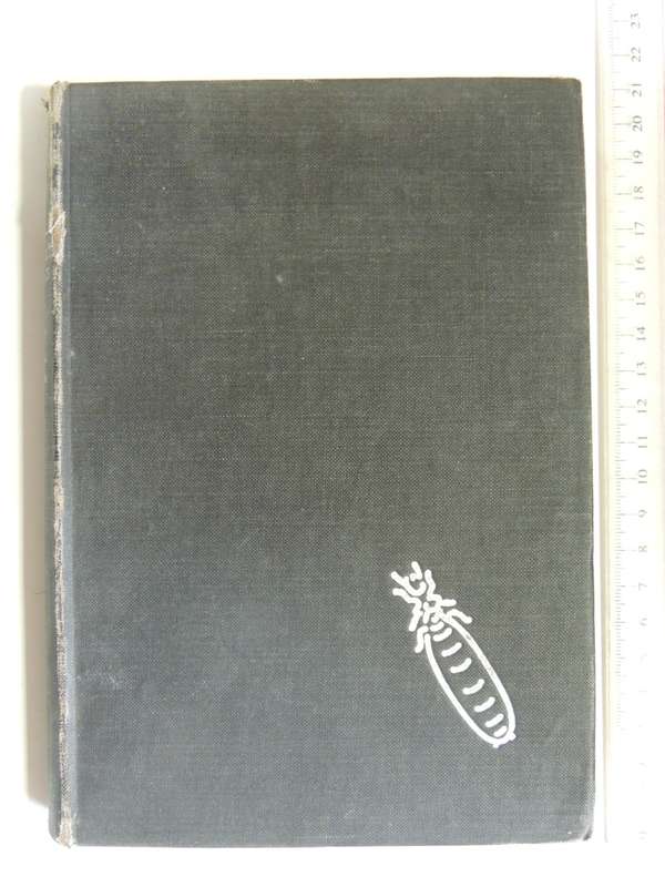The Soul Of The White Ant - 4th Edition 1939- Eugene Marais