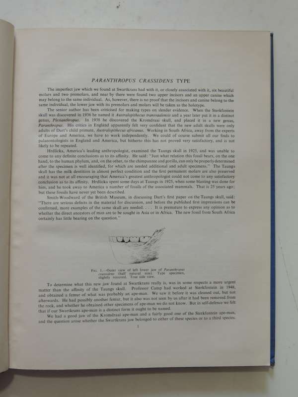 Swartkrans Ape-Man - Paranthropus Crassidens - Robert Broom F.R.S. & J.T. Robinson
