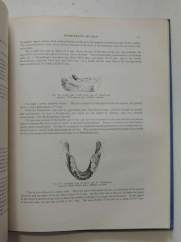 Swartkrans Ape-Man - Paranthropus Crassidens - Robert Broom F.R.S. & J.T. Robinson