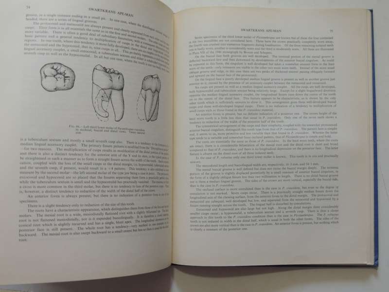 Swartkrans Ape-Man - Paranthropus Crassidens - Robert Broom F.R.S. & J.T. Robinson