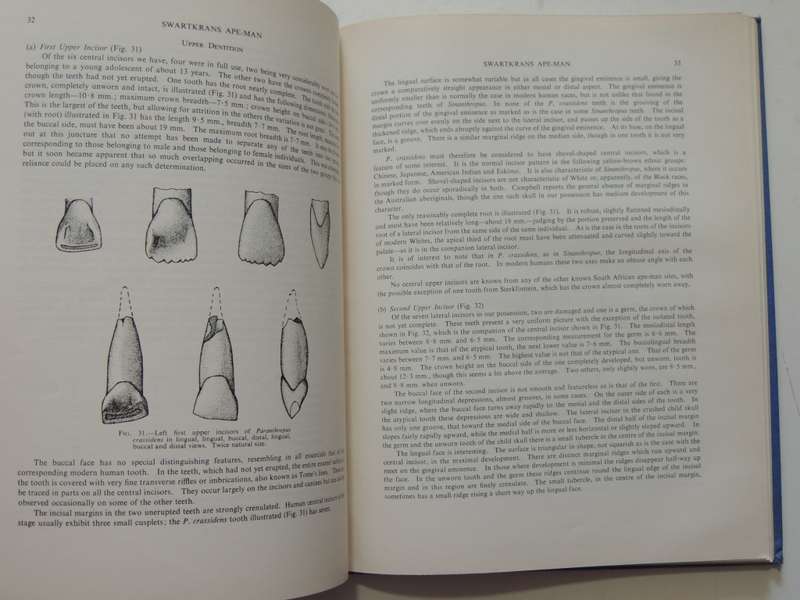 Swartkrans Ape-Man - Paranthropus Crassidens - Robert Broom F.R.S. & J.T. Robinson