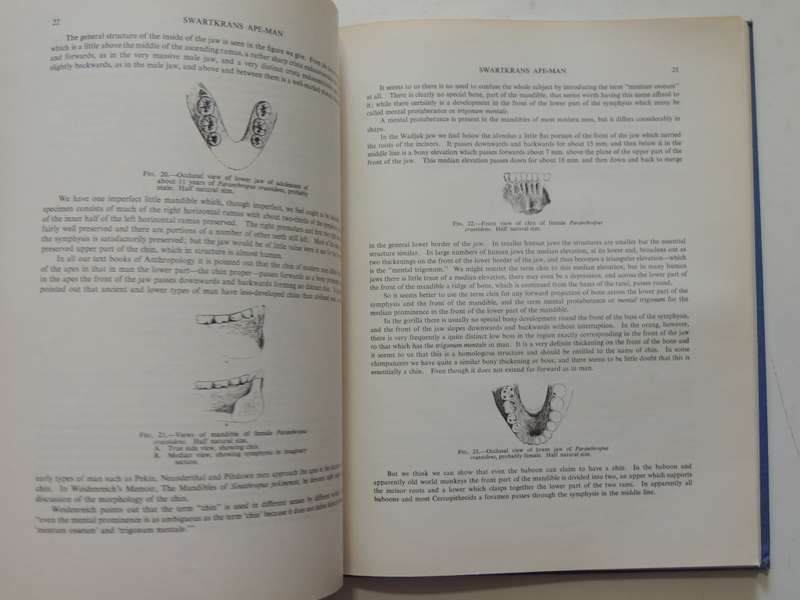 Swartkrans Ape-Man - Paranthropus Crassidens - Robert Broom F.R.S. & J.T. Robinson