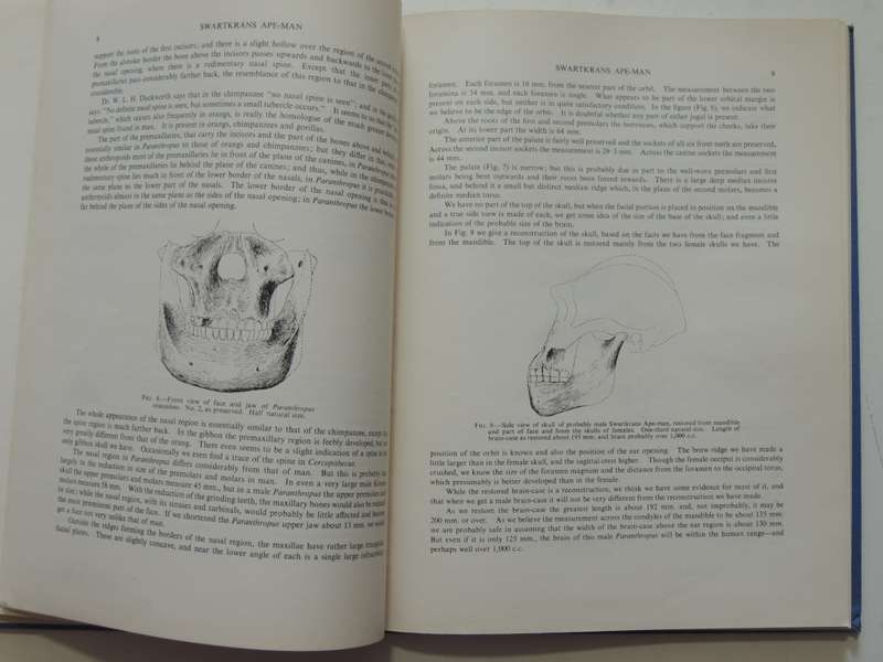 Swartkrans Ape-Man - Paranthropus Crassidens - Robert Broom F.R.S. & J.T. Robinson